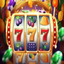 7755bet com