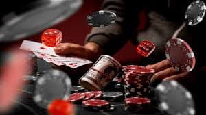 7755bet com