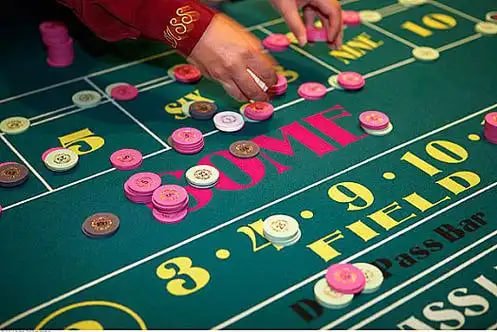 7755bet com
