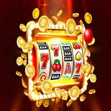 7755bet com